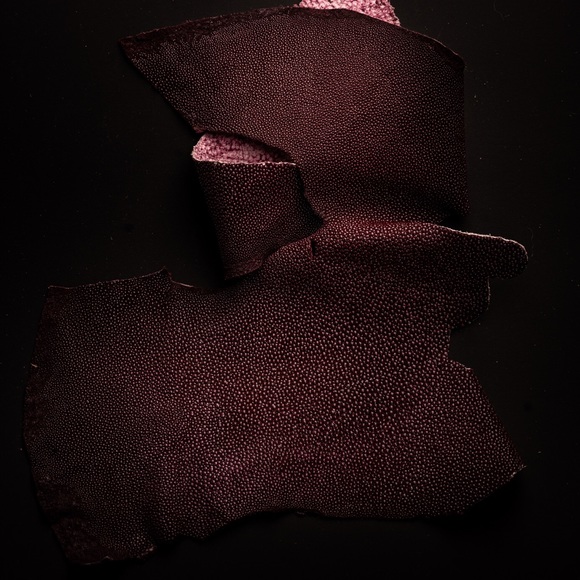 Meet your Posher, Grandad Sam - Picture 9 of 16